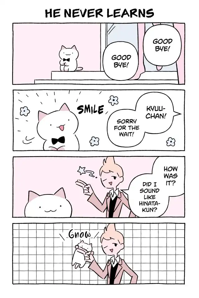 Wonder Cat Kyuu-chan Chapter 588 1